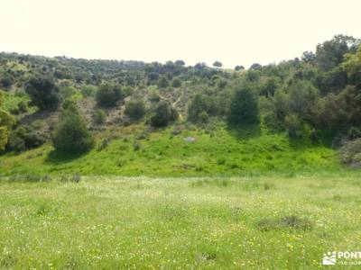 Puentes Medievales Colmenar Viejo; parque urbasa nieve en cotos rutas trekking madrid castillo de cu